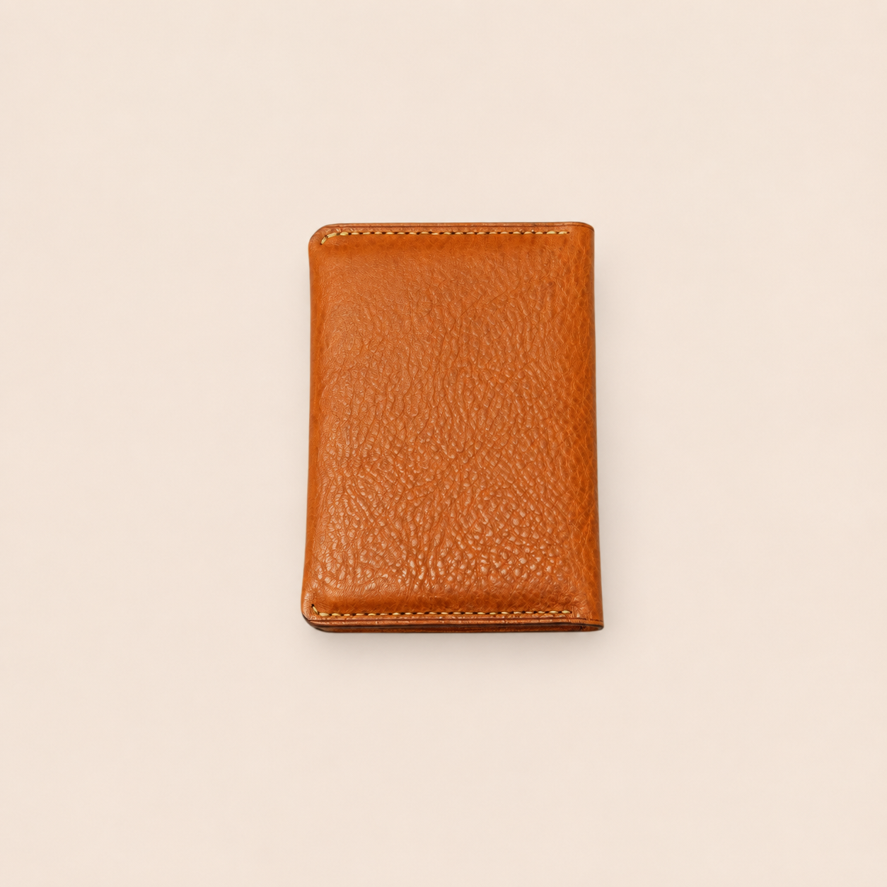 Zando Passport holder